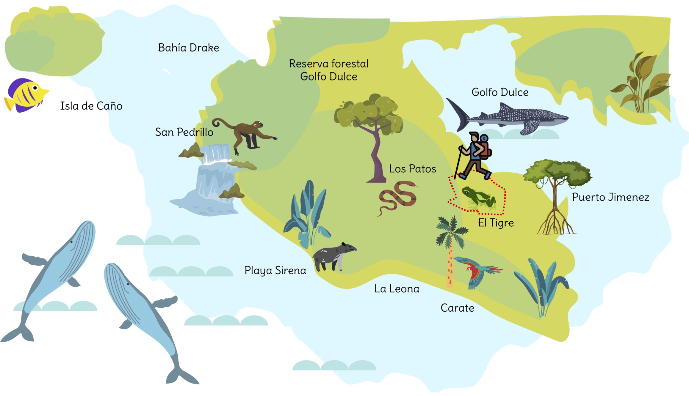 Corcovado National Park TOURS