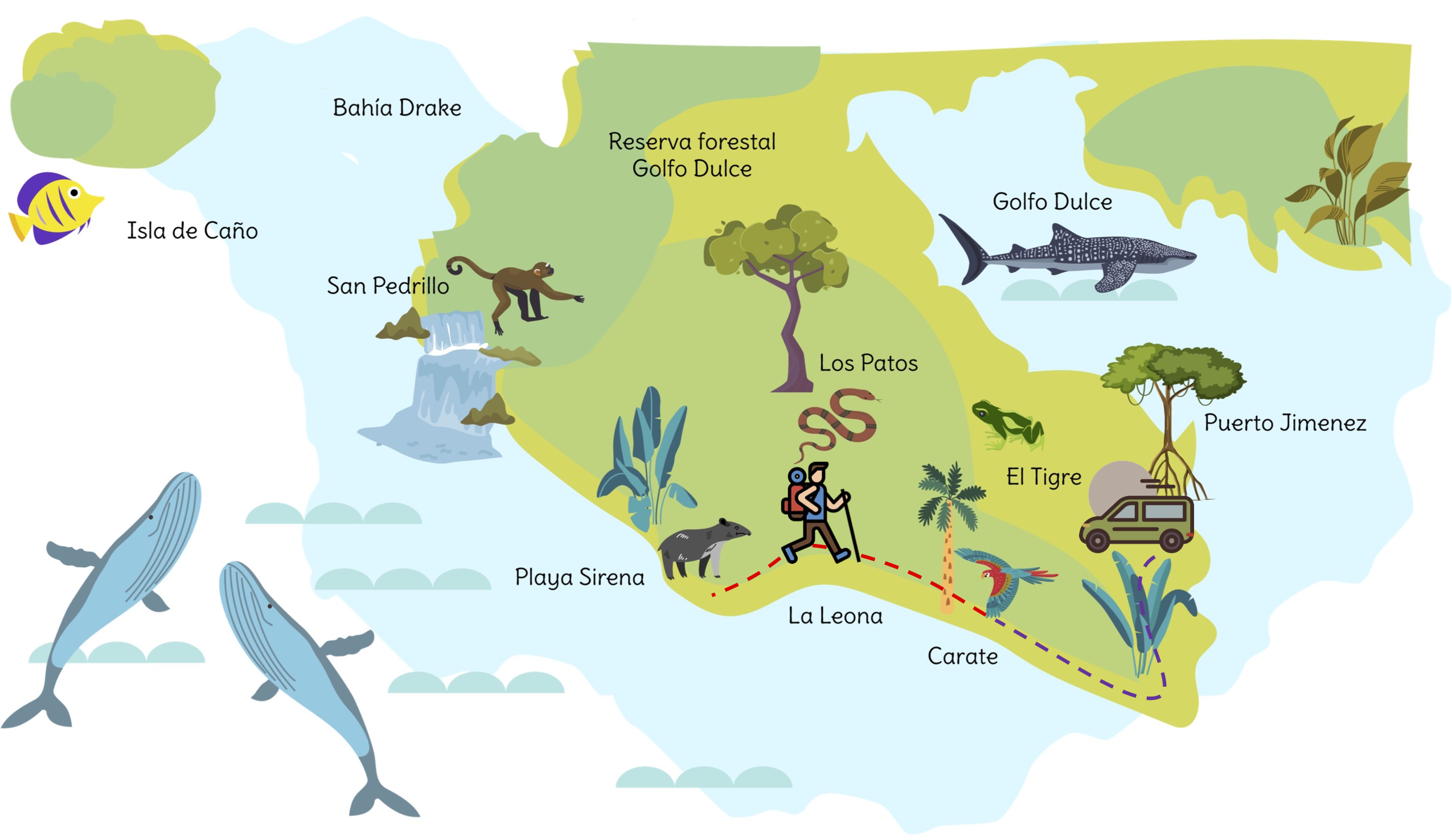 Corcovado National Park TOURS