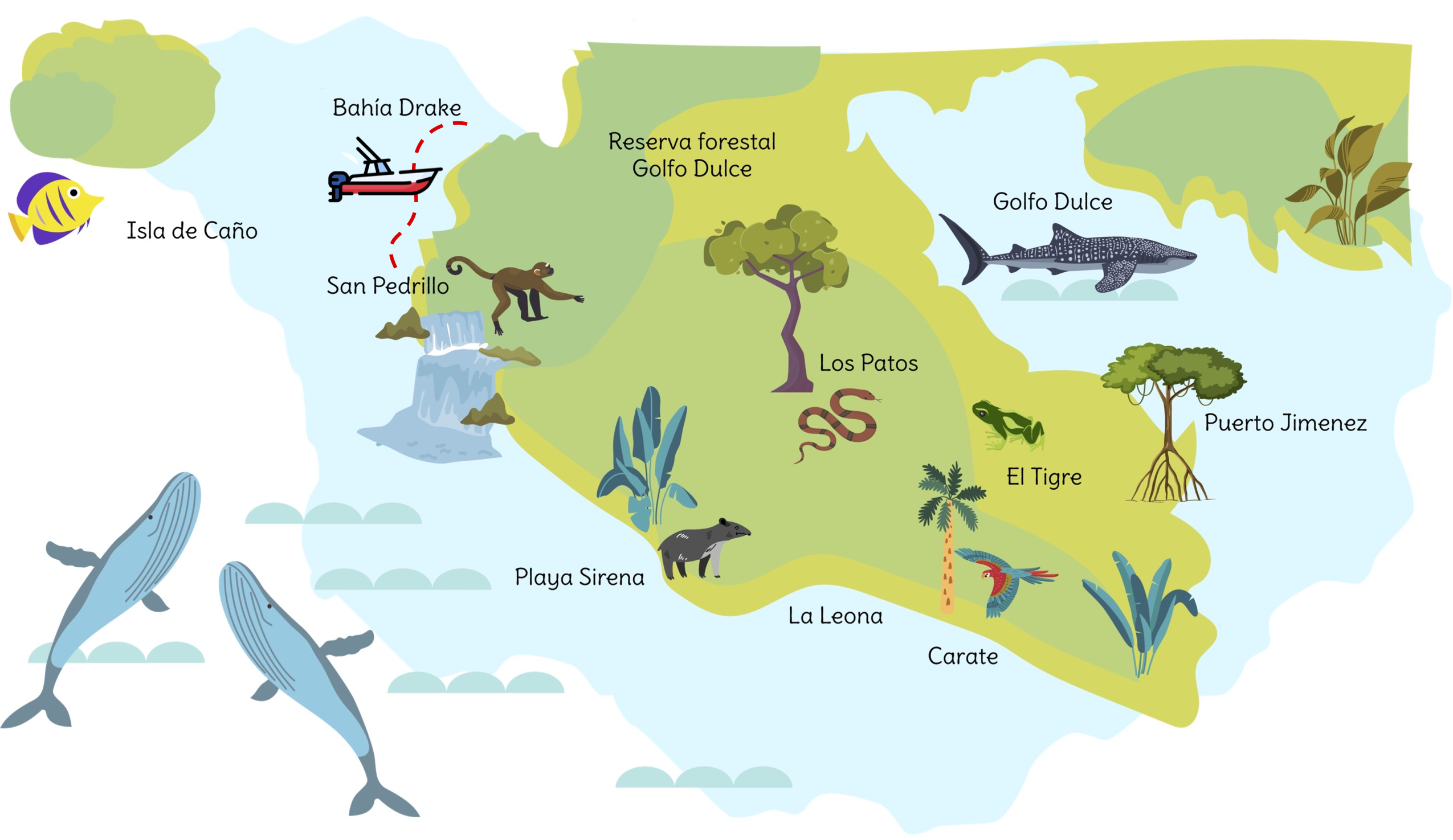 Corcovado National Park TOURS